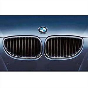 BMW 51712155446 Performance Black Kidney Grille/Right